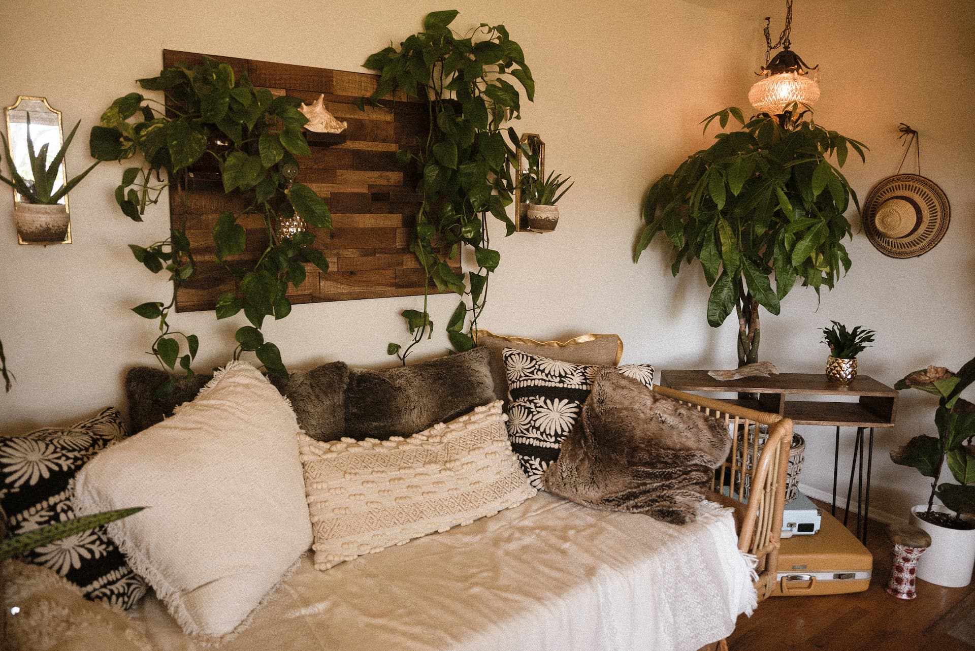 Plantas colgadas de la pared en una casa pequeño